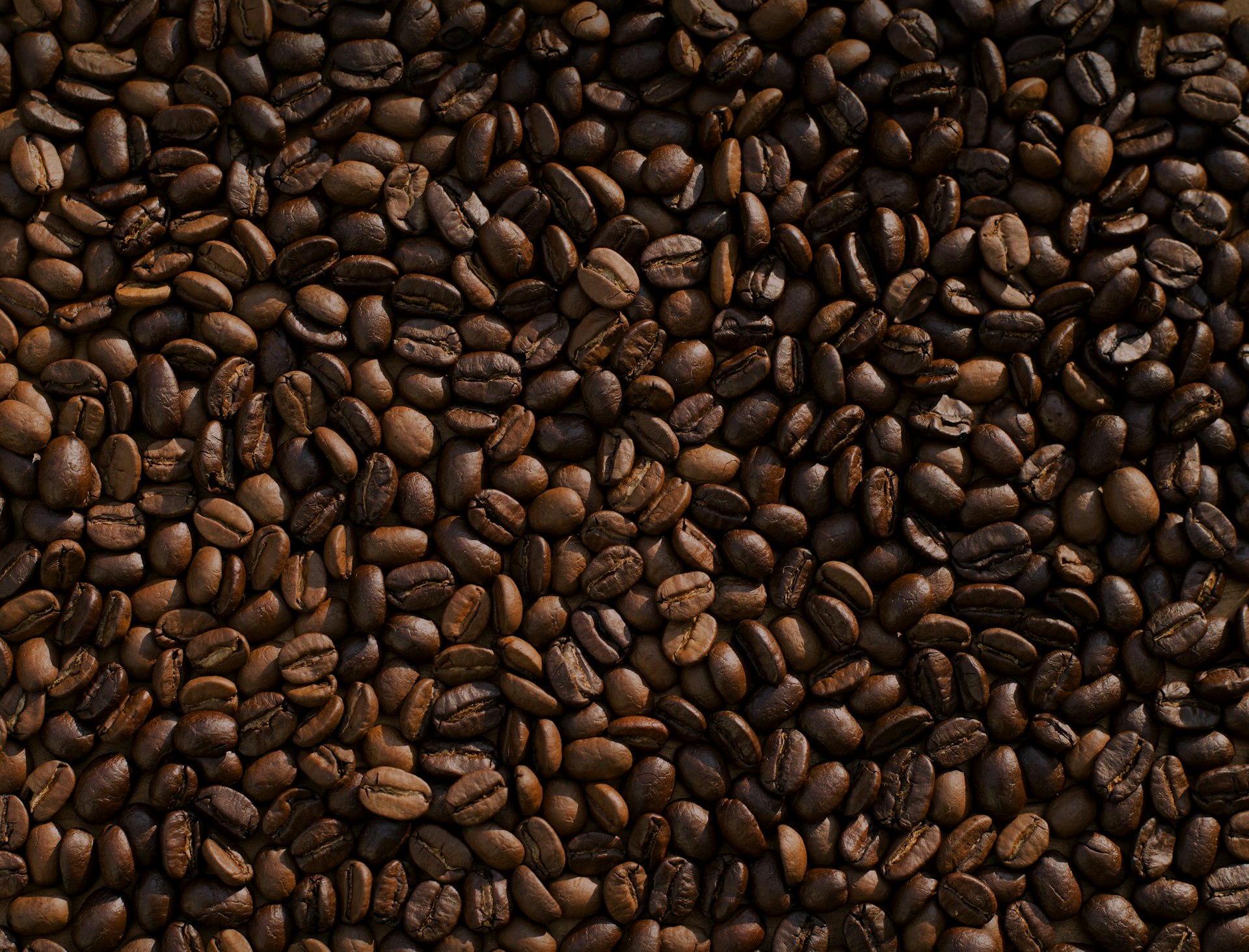 Coffee beans close-up